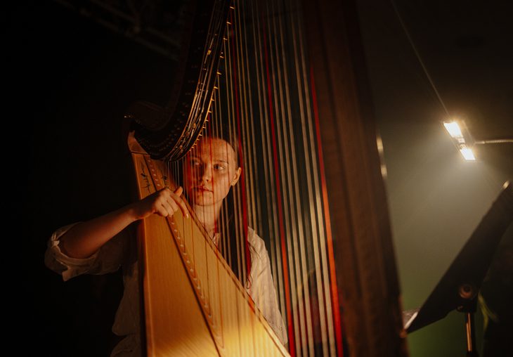 A harpist with light skin tone and long brown hair sits at her instrument, one hand resting on the string