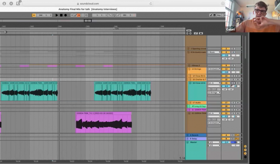 A musical project on a digital audio workspace is being shared over Zoom.